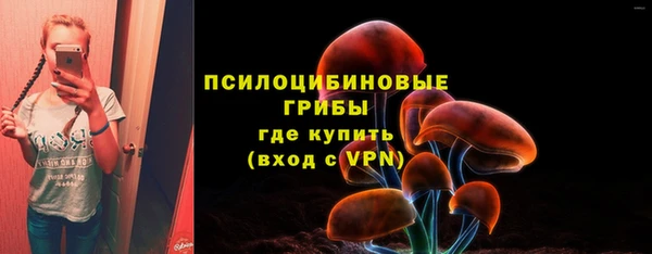 а пвп мука Армянск