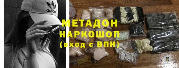 прущие грибы Арсеньев