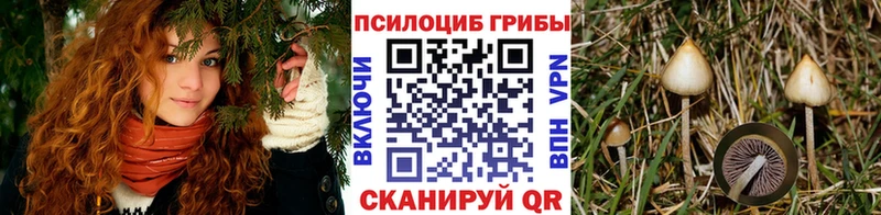 Псилоцибиновые грибы мухоморы Удомля